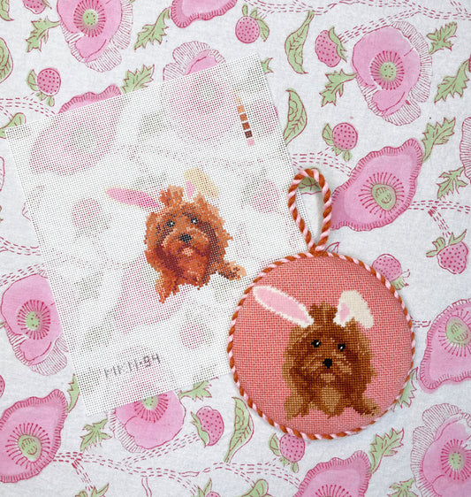 cockapoo bunny