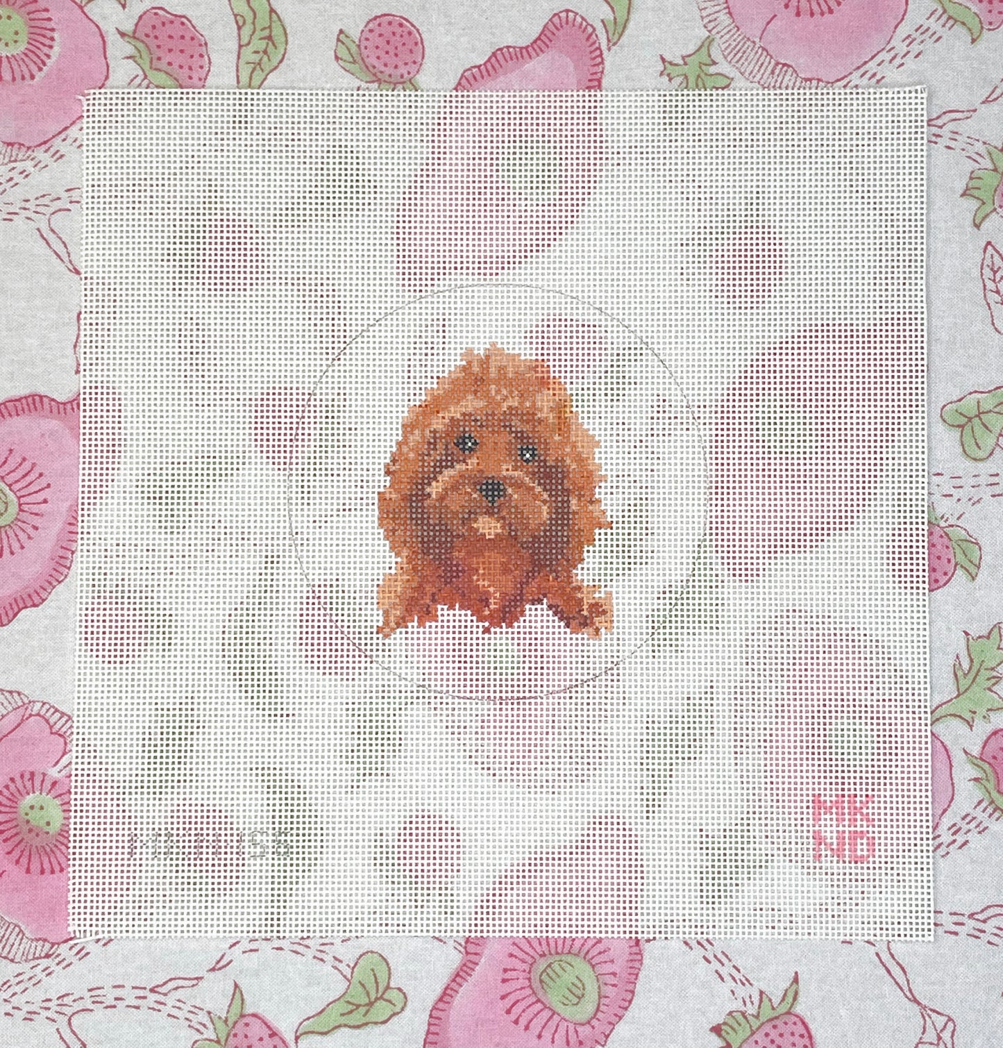 cockapoo