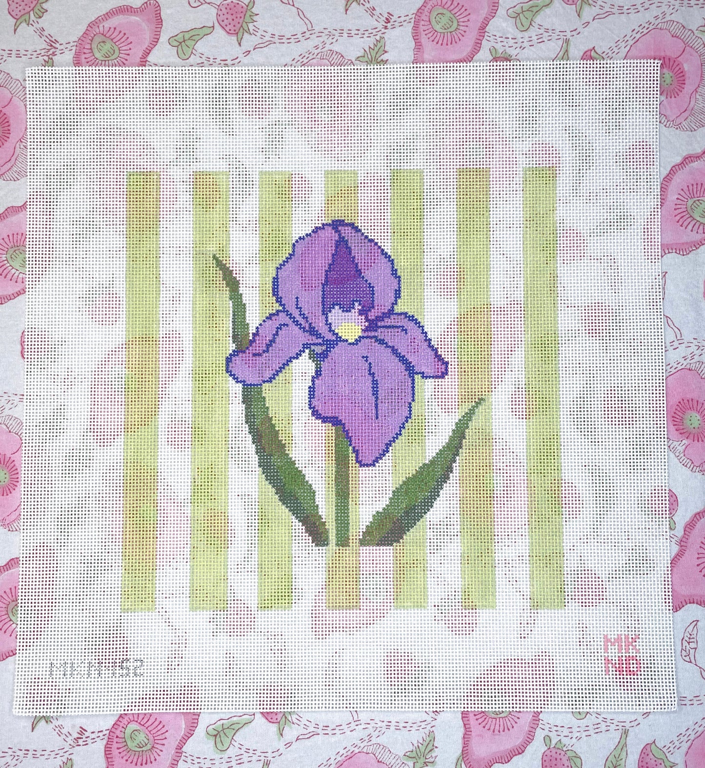 purple iris